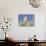 Chateau De Peyrepertuse, a Cathar Castle, Languedoc, France, Europe-Tony Waltham-Stretched Canvas displayed on a wall