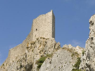 https://imgc.allpostersimages.com/img/posters/chateau-de-peyrepertuse-a-cathar-castle-languedoc-france-europe_u-L-PNPO4E0.jpg?artPerspective=n