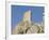 Chateau De Peyrepertuse, a Cathar Castle, Languedoc, France, Europe-Tony Waltham-Framed Photographic Print