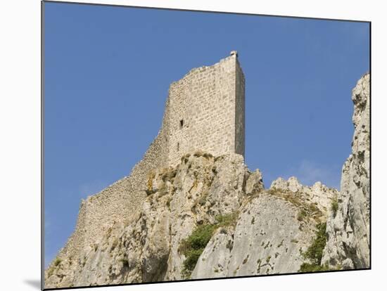 Chateau De Peyrepertuse, a Cathar Castle, Languedoc, France, Europe-Tony Waltham-Mounted Photographic Print