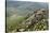 Chateau De Peyrepertuse, a Cathar Castle, Languedoc, France, Europe-Tony Waltham-Stretched Canvas