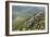 Chateau De Peyrepertuse, a Cathar Castle, Languedoc, France, Europe-Tony Waltham-Framed Photographic Print