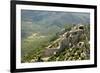 Chateau De Peyrepertuse, a Cathar Castle, Languedoc, France, Europe-Tony Waltham-Framed Photographic Print