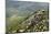 Chateau De Peyrepertuse, a Cathar Castle, Languedoc, France, Europe-Tony Waltham-Mounted Photographic Print