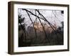 Château de Pierrefonds, vue d'ensemble depuis le sud-est-Philippe Berthé-Framed Photographic Print