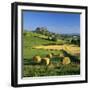 Chateau De Polignac and Hay Bales, Polignac, Haute-Loire, Auvergne, France-Stuart Black-Framed Photographic Print