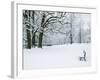 Chateau de Vizille Park after Winter Storm, Vizille, Isere, French Alps, France-Walter Bibikow-Framed Photographic Print