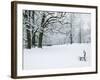 Chateau de Vizille Park after Winter Storm, Vizille, Isere, French Alps, France-Walter Bibikow-Framed Photographic Print