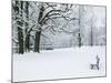 Chateau de Vizille Park after Winter Storm, Vizille, Isere, French Alps, France-Walter Bibikow-Mounted Photographic Print