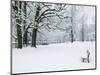 Chateau de Vizille Park after Winter Storm, Vizille, Isere, French Alps, France-Walter Bibikow-Mounted Photographic Print