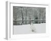 Chateau de Vizille Park, Swan Lake, Vizille, Isere, French Alps, France-Walter Bibikow-Framed Photographic Print