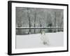 Chateau de Vizille Park, Swan Lake, Vizille, Isere, French Alps, France-Walter Bibikow-Framed Photographic Print