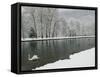 Chateau de Vizille Park, Swan Lake, Vizille, Isere, French Alps, France-Walter Bibikow-Framed Stretched Canvas