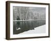 Chateau de Vizille Park, Swan Lake, Vizille, Isere, French Alps, France-Walter Bibikow-Framed Photographic Print