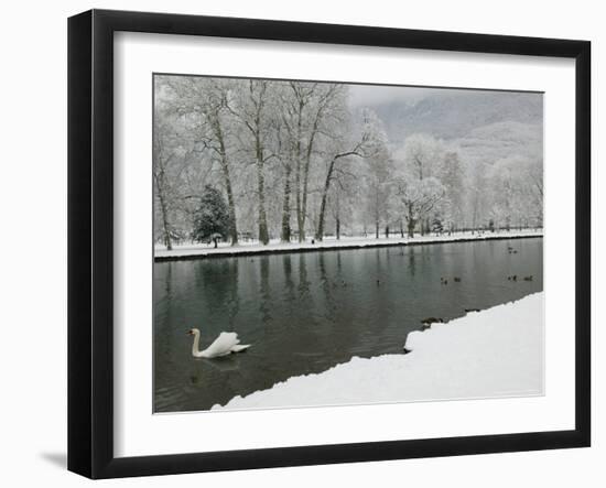 Chateau de Vizille Park, Swan Lake, Vizille, Isere, French Alps, France-Walter Bibikow-Framed Photographic Print