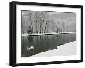 Chateau de Vizille Park, Swan Lake, Vizille, Isere, French Alps, France-Walter Bibikow-Framed Photographic Print