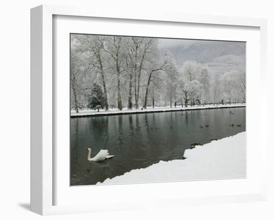 Chateau de Vizille Park, Swan Lake, Vizille, Isere, French Alps, France-Walter Bibikow-Framed Photographic Print