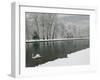 Chateau de Vizille Park, Swan Lake, Vizille, Isere, French Alps, France-Walter Bibikow-Framed Photographic Print