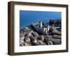 Château des Scaglieri, à Sirmione-null-Framed Giclee Print