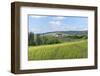 Chateau du Clos de Vougeot, Cistercian Abbey, Clos de Vougeot, Cote d'Or, Burgundy, France-Lisa S. Engelbrecht-Framed Photographic Print