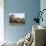 Chateau Du Pin, Le Pin, Jura, Franche Comte, France, Europe-null-Photographic Print displayed on a wall