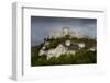 Chateau Gaillard, Les Andelys, Eure, Normandy, France-Charles Bowman-Framed Photographic Print