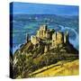 Chateau Gaillard-Harry Green-Stretched Canvas