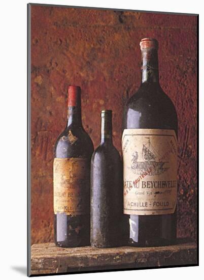 Chateau Neychevelle, 1990-Peter Knaup-Mounted Art Print