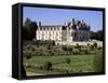 Chateau of Chenonceau and Garden, Touraine, Loire Valley, Centre, France-Roy Rainford-Framed Stretched Canvas