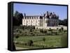 Chateau of Chenonceau and Garden, Touraine, Loire Valley, Centre, France-Roy Rainford-Framed Stretched Canvas