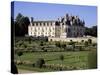 Chateau of Chenonceau and Garden, Touraine, Loire Valley, Centre, France-Roy Rainford-Stretched Canvas