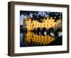 Chateau of Chenonceau, Indre Et Loire, Loire Valley, France-Bruno Morandi-Framed Photographic Print