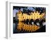 Chateau of Chenonceau, Indre Et Loire, Loire Valley, France-Bruno Morandi-Framed Photographic Print