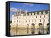 Chateau of Chenonceau, Indre Et Loire, Loire Valley, France-Bruno Morandi-Framed Stretched Canvas