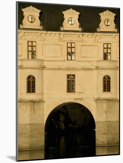 Chateau of Chenonceau, Loire Valley, France-David Barnes-Mounted Photographic Print