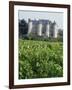 Chateau of Luynes, Indre Et Loire, Loire Centre, Loire Valley, France-Michael Busselle-Framed Photographic Print