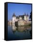 Chateau of Sully-Sur-Loire, Unesco World Heritage Site, Loiret, Loire Valley, Centre, France-Roy Rainford-Framed Stretched Canvas