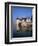 Chateau of Sully-Sur-Loire, Unesco World Heritage Site, Loiret, Loire Valley, Centre, France-Roy Rainford-Framed Photographic Print