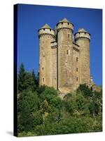 Chateau of Tournemire, Cantal, Auvergne, France-Michael Busselle-Stretched Canvas