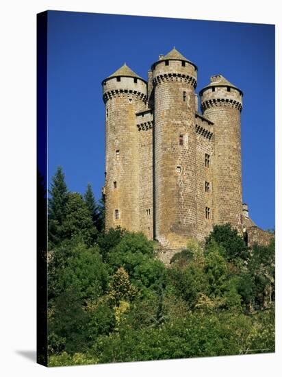 Chateau of Tournemire, Cantal, Auvergne, France-Michael Busselle-Stretched Canvas