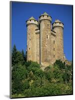 Chateau of Tournemire, Cantal, Auvergne, France-Michael Busselle-Mounted Photographic Print