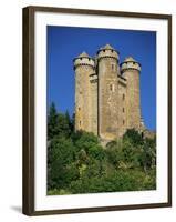 Chateau of Tournemire, Cantal, Auvergne, France-Michael Busselle-Framed Photographic Print