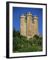 Chateau of Tournemire, Cantal, Auvergne, France-Michael Busselle-Framed Photographic Print