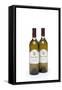 Chateau Picard' Wine Bottles, Used in 'Star Trek: Nemesis', C.2002-null-Framed Stretched Canvas