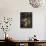 Chateau Vinyard-Jennifer Garant-Framed Stretched Canvas displayed on a wall