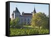 Chateau with Turrets and Vineyard, Chateau Carignan, Premieres Cotes De Bordeaux, France-Per Karlsson-Framed Stretched Canvas