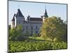 Chateau with Turrets and Vineyard, Chateau Carignan, Premieres Cotes De Bordeaux, France-Per Karlsson-Mounted Photographic Print