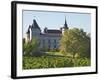 Chateau with Turrets and Vineyard, Chateau Carignan, Premieres Cotes De Bordeaux, France-Per Karlsson-Framed Photographic Print