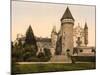 Chateaux de Bourbon , Busset near Vichy, France, c.1890-1900-null-Mounted Photographic Print