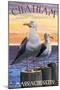 Chatham, Massachusetts - Seagulls-Lantern Press-Mounted Art Print